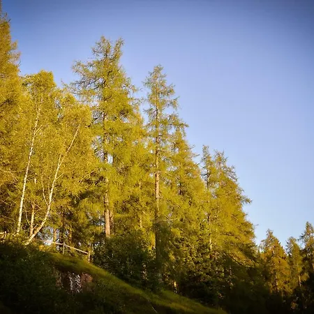 Winkler Vakantiehuis Anterivo